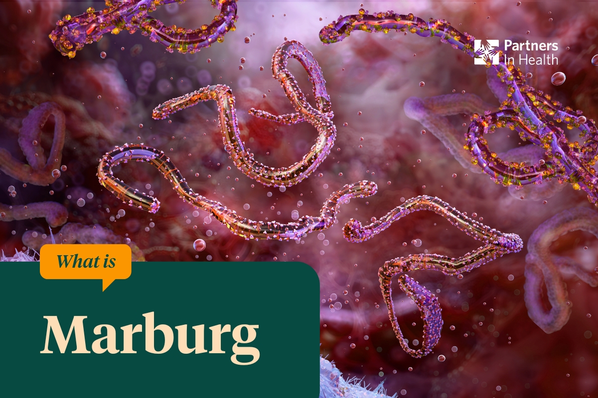 Marburg virus under microscope