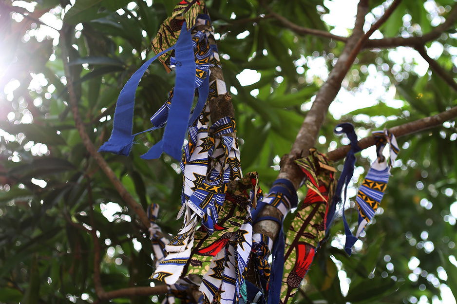 The â€˜survivorâ€™s treeâ€™ outside of the Maforki ETU. Patients who survive the virus tie cloth ribbons around the tree when they are discharged from care.