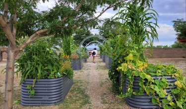 Gardens with archways and lots of greens overflowing from planters