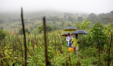 Atupere Phiri, APZU palliative care clinical officer, Nelson Gonondo, POSER program coordinator, and Judith Kanyenda, APZU palliative care nurse, make the trek—through rain and knee-high vegetation—to conduct a home visit with a patient who has lost his ability to walk due to TB meningitis affecting his brain.